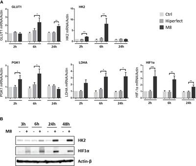 Inhibition of Glycolysis Impairs Retinoic Acid-Inducible Gene I–Mediated Antiviral Responses in Primary Human Dendritic Cells